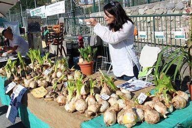Puget-Théniers – Succès pour la foire agricole Puget-Théniers – Succès pour la foire agricole