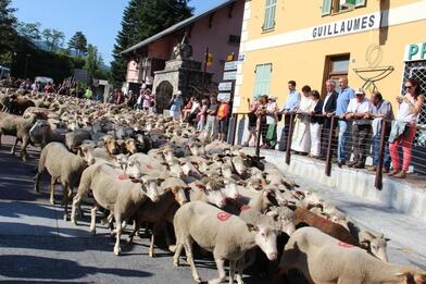 Val d'Entraunes – Suivre la transhumance pour découvrir les traditions du haut-pays Val d'Entraunes – Suivre la transhumance pour découvrir les traditions du haut-pays