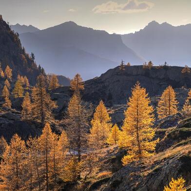 Conseil d'administration du Parc national du Mercantour Conseil d'administration du Parc national du Mercantour